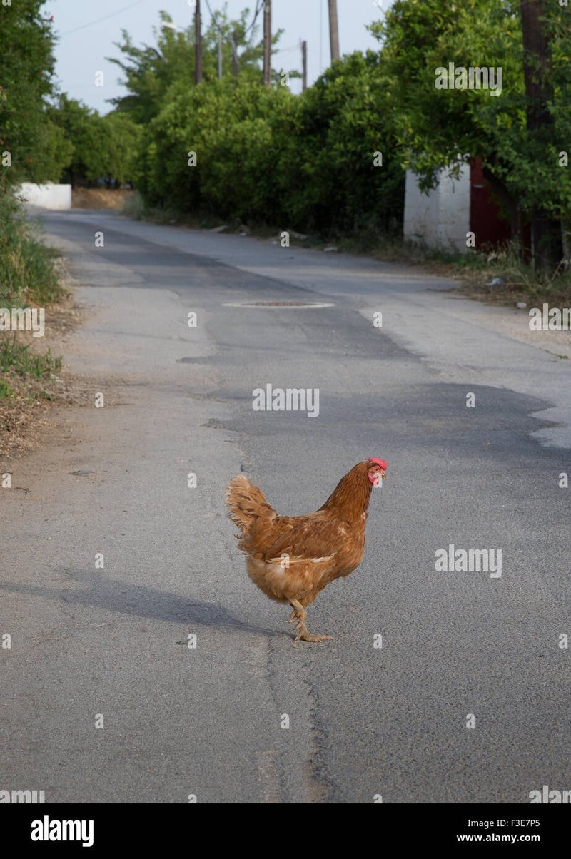 Découvrez le jeu excitant de Chicken Road Casino en Ligne en France